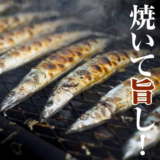 IQF冷凍サンマ・さんま・秋刀魚 “特大” 147〜160g 50尾（7.5kg