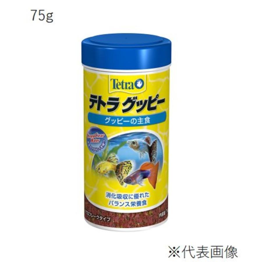 テトラ グッピー [グッピー えさ 餌 フード フレークタイプ] 75g 爆買