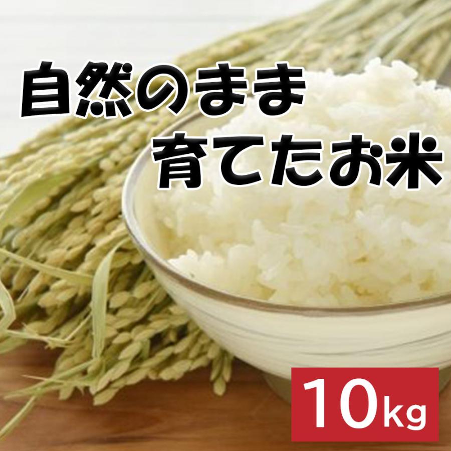 中橋商事 自然のまま育てたお米 お米 精米 白米 10kg 【お一人様2点