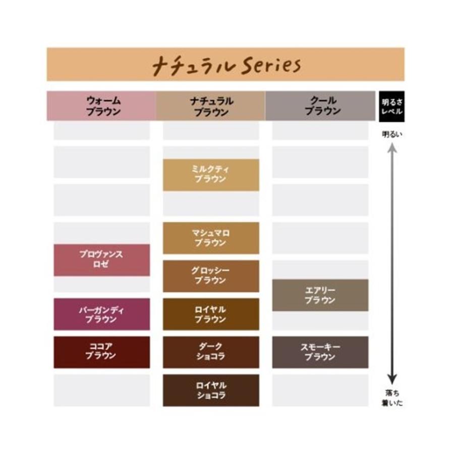 アウトレット リーゼ 泡カラー ロイヤルブラウン ラスト1点!リーゼ 泡カラー ダークショコラ 2箱セット