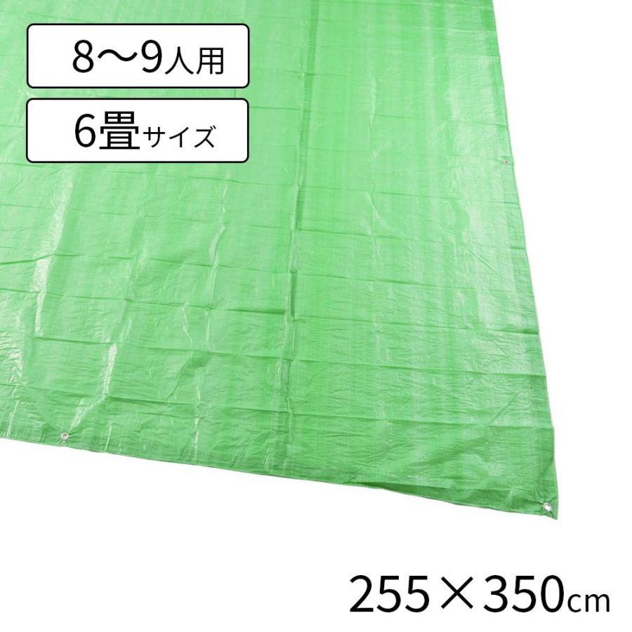 おおちゃん専用　貯金魚洗面器　レジャーシート　５点セット おおちゃん専用 貯金魚洗面器 レジャーシート 5点セット 2026年最新