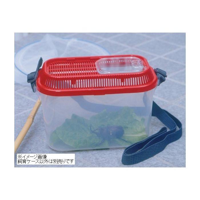 アイリスオーヤマ 虫とりこぞう 虫かご 飼育ケース SD-200 レッド 爆買