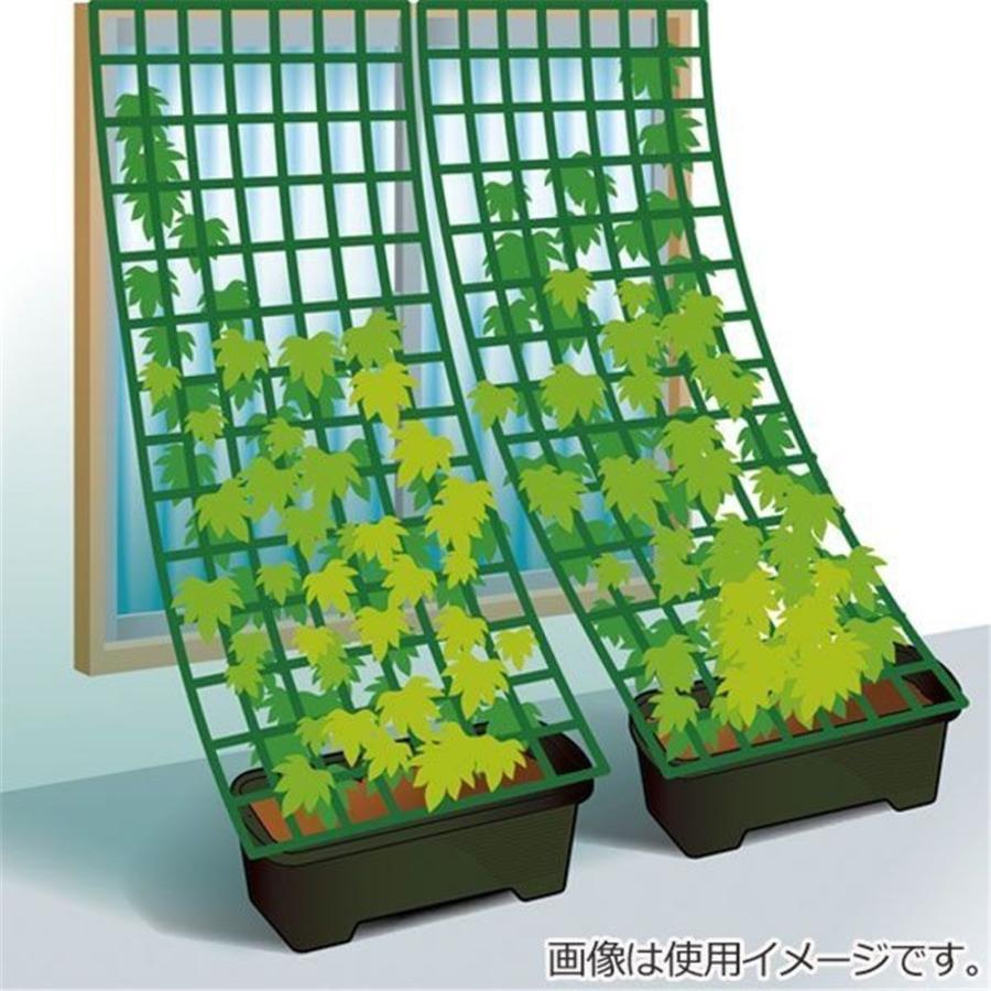 アイリスオーヤマ グリーンカーテン用プランター 900 ハーブグリーン 【○】｜yamakishi｜02