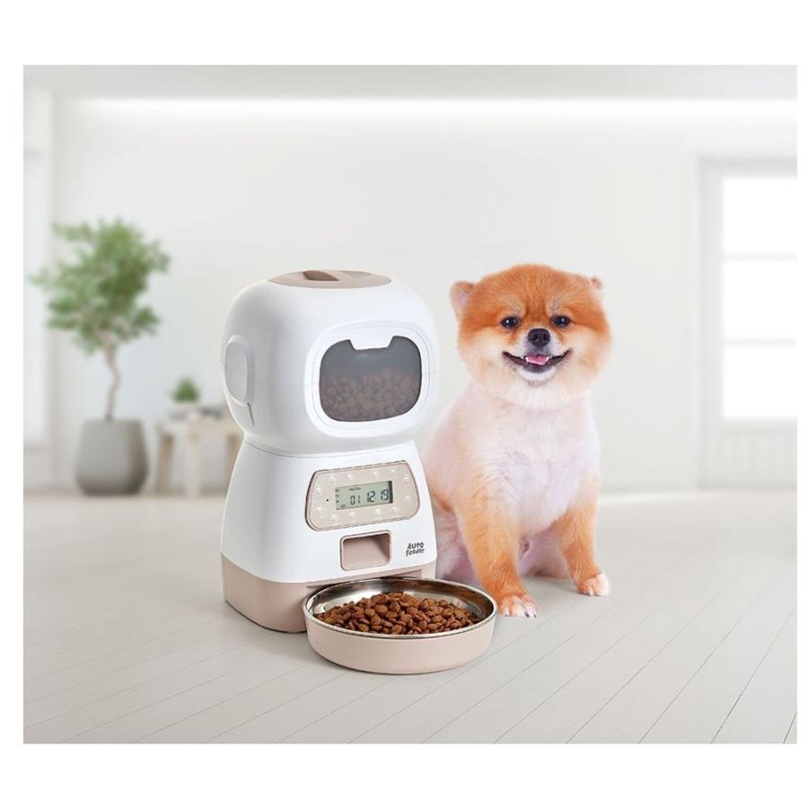 マルカン(MARUKAN) ペット用オートフィーダー キュート [ペット用品