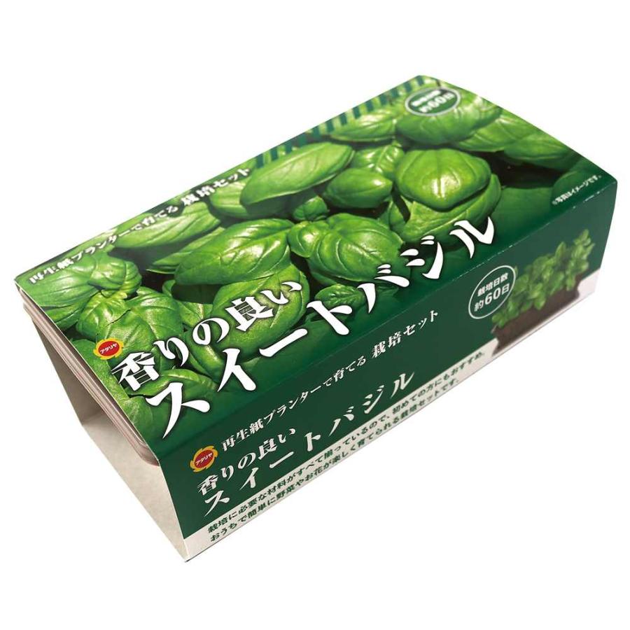 アタリヤ農園 スイートバジル栽培セット [栽培キット ハーブ 野菜