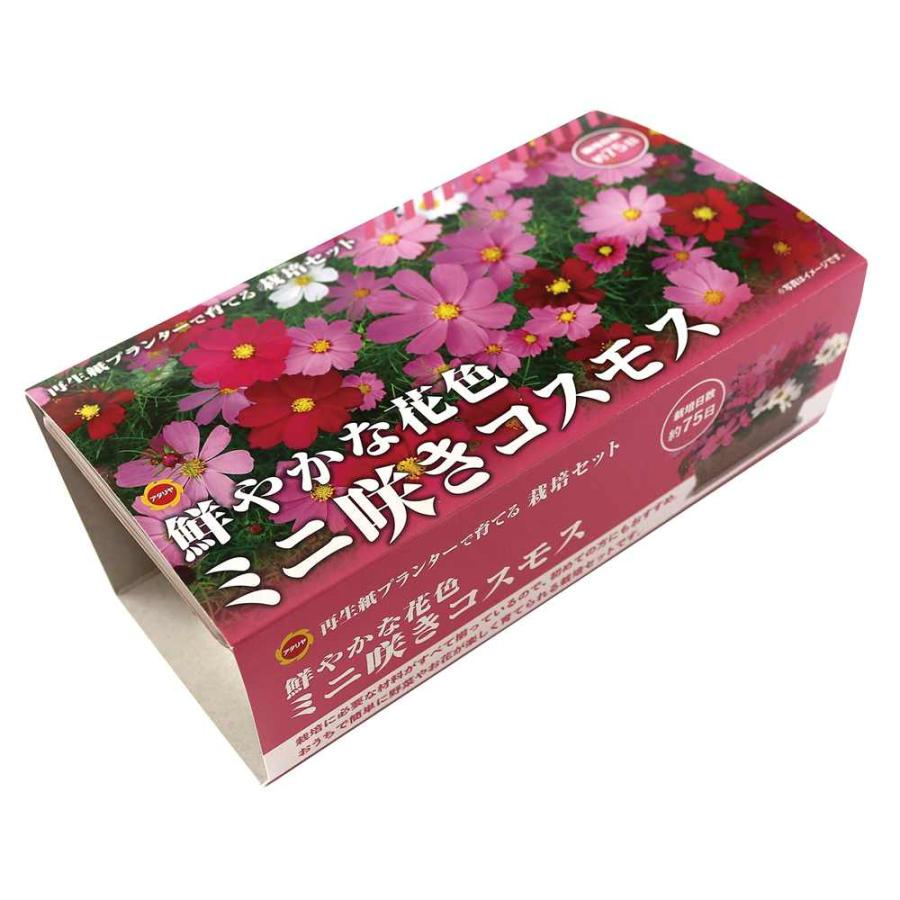 アタリヤ農園 栽培セット ミニ咲きコスモス [栽培キット 花 ベランダ