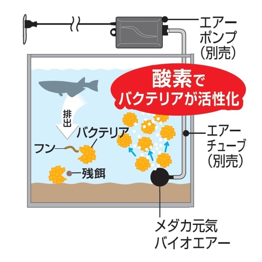 GEX ジェックス メダカ元気 バイオエアー 丸型 40 [エアレーション関連用品]｜yamakishi｜03