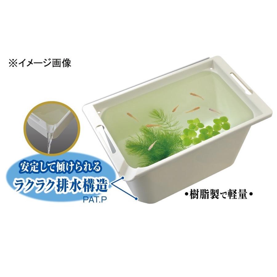 めだか飼育容器など、めだか飼育用品