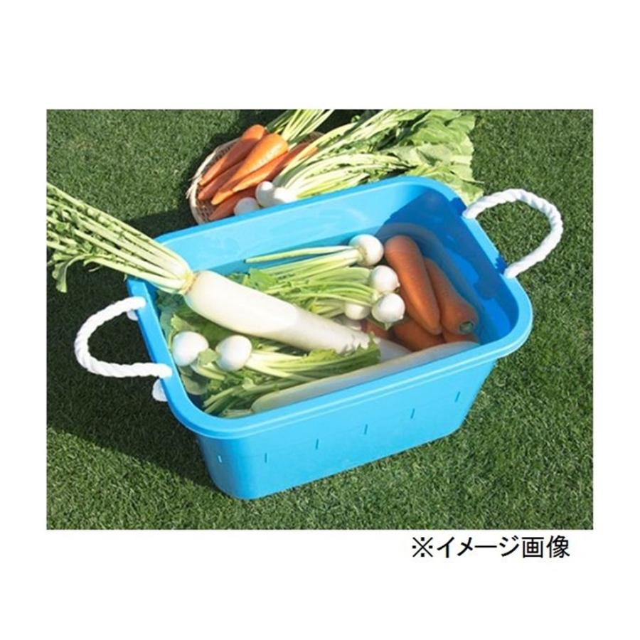 トンボ 角型タブ(ひも付) 36型[たらい アウトドア 園芸 畑 トンボ 角型タブ(ひも付) 36型[たらい アウトドア 園芸 畑