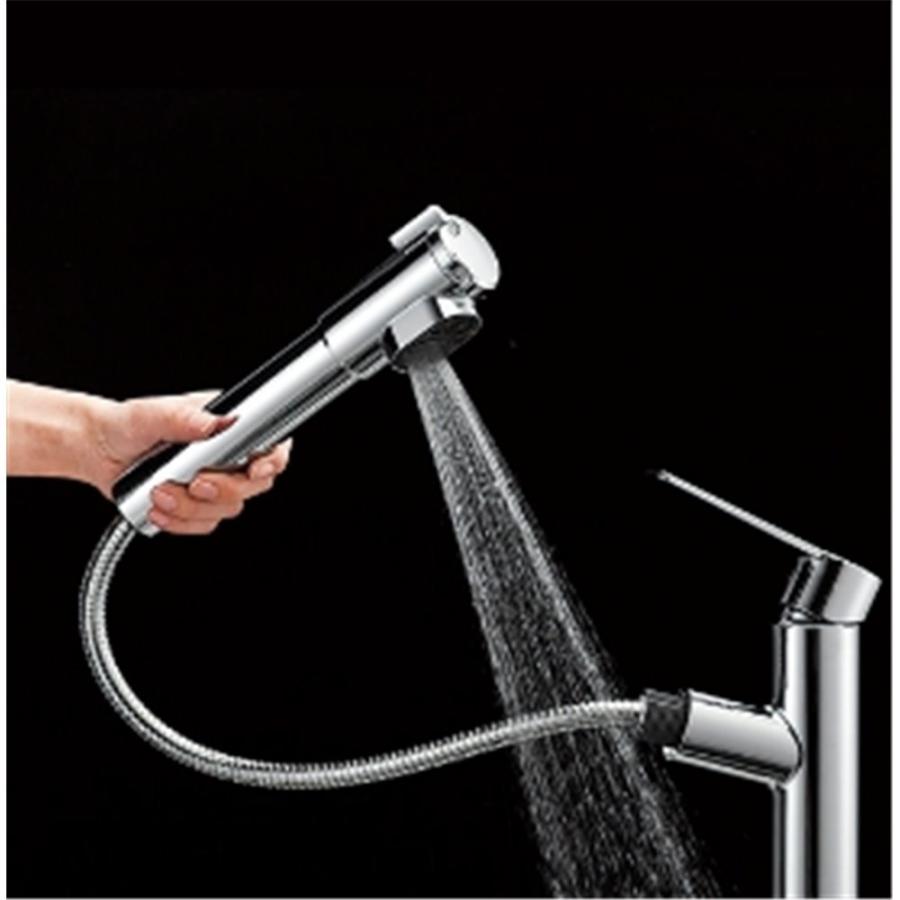 SANEI シングル浄水器付ワンホールスプレー混合栓(キッチン用) [混合栓  