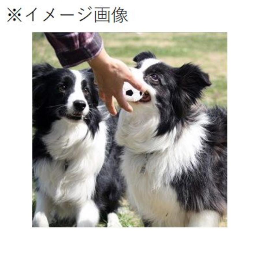 プラッツ Go Fetch スポーツボール サッカーボール 犬 ドッグ おもちゃ トイ Pz ヤマキシヤフー店 通販 Yahoo ショッピング