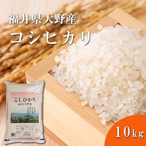 福井精米 令和7年度産 福井県大野産 こしひかり コシヒカリ 精米 10kg