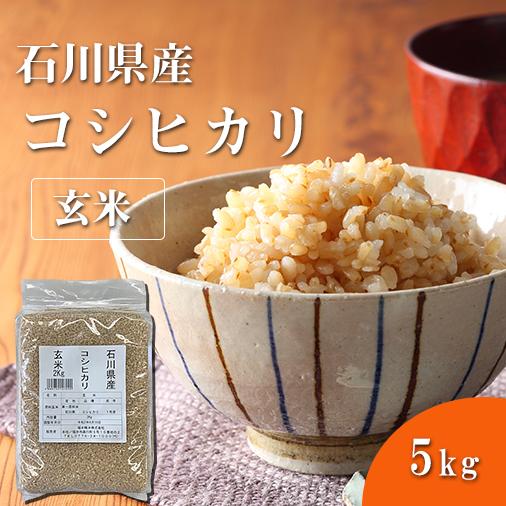 福井精米 令和7年度産 石川県産 こしひかり玄米 コシヒカリ お米 5kg