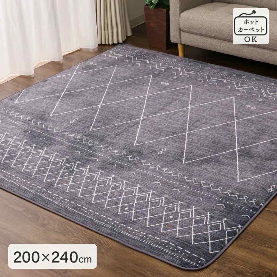 ラグ カーペット 絨毯 長方形 276cm 大判 大宗 D's collection ふっくらセンターラグ 長方形200×240cm