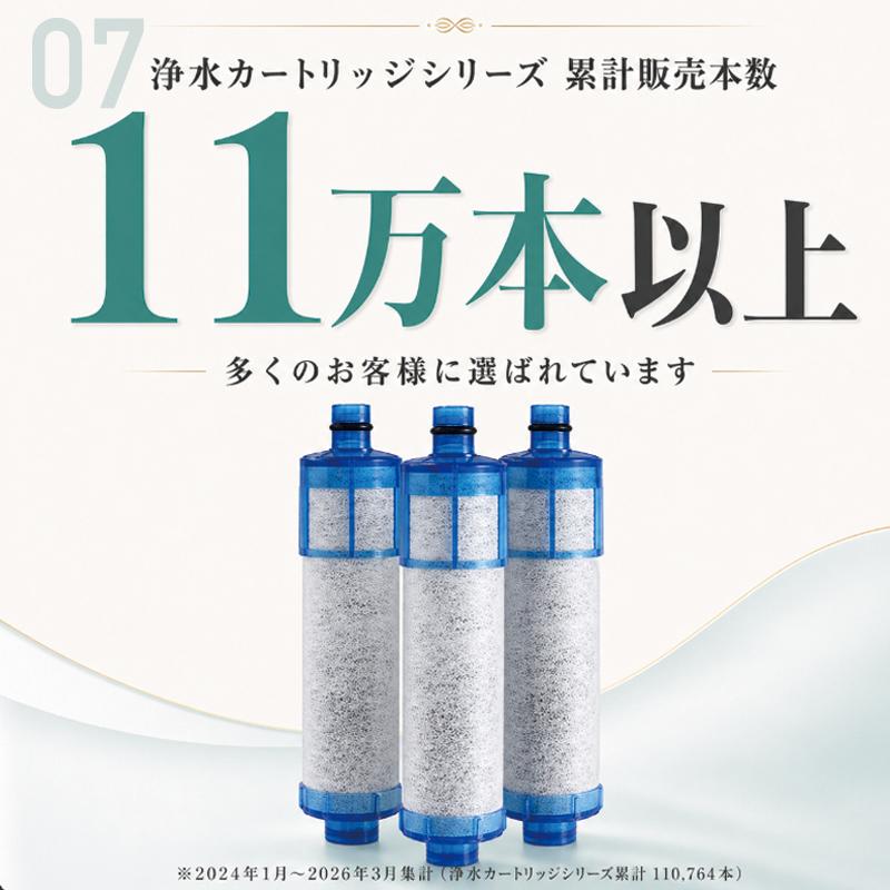 JF-21-T 浄水カートリッジ 3本セット JF-20TK-SW SF-T21 JF20TTO