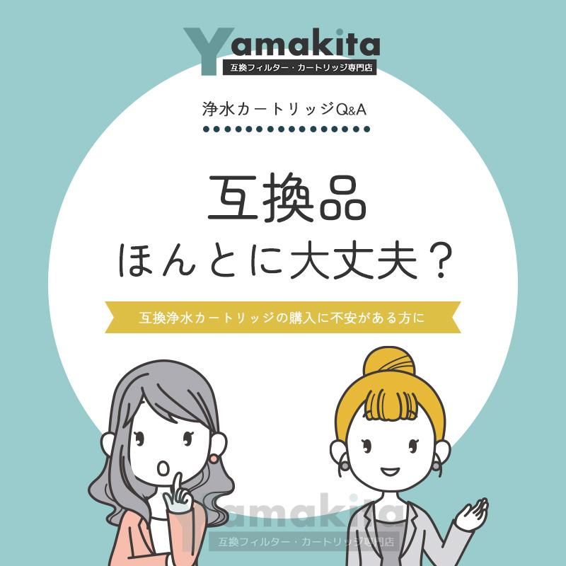 【えったん】BSC05003 浄水器用交換カートリッジ 2箱セット 1.jpg