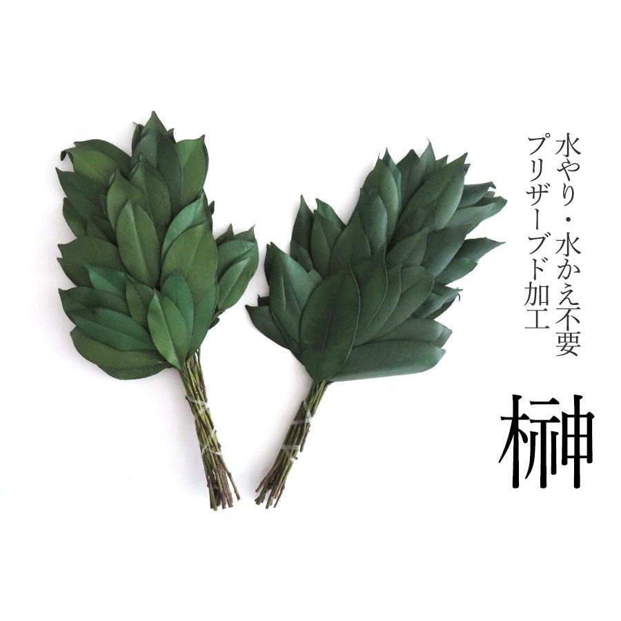 神具 榊 プリザーブドフラワー 一対 神棚用 水かえ 水やり 不要 栄える 重ね榊 豪華 本物 リアル サカキ 神具セット 造花とは違う 枯れない プリザーブド加工 の商品画像