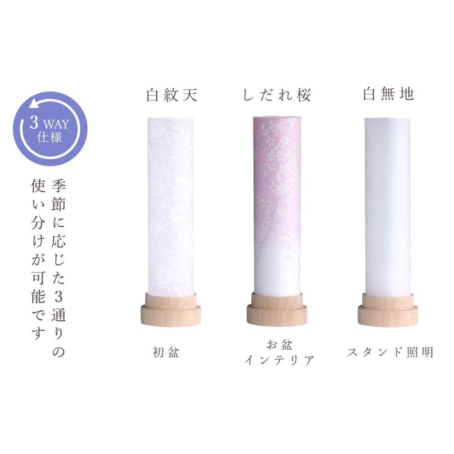 Amazon.co.jp: 筒型 SAKURA 一対 桃色 : Office Products｜盆提灯