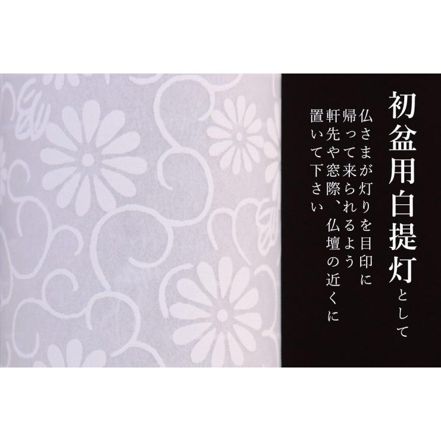 盆提灯 初盆 新盆 3通りの使い方 モダン 一対 セット 提灯 岐阜の誉れシリーズ 白紋天 しだれ桜 コードレス LED ミニの画像