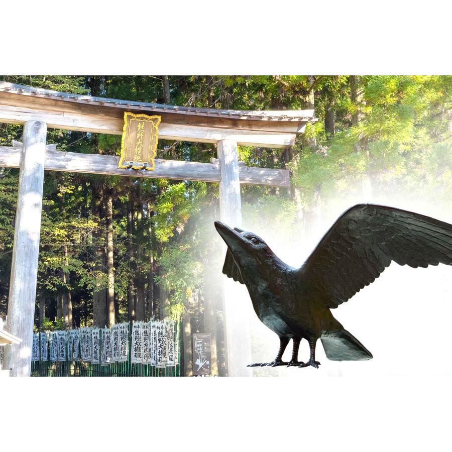 神棚 神具 仏具 やまこう 神棚セット モダン 一番小さなお宮さん 神棚 神具 仏具 やまこう 神棚セット モダン 一番小さなお宮さん