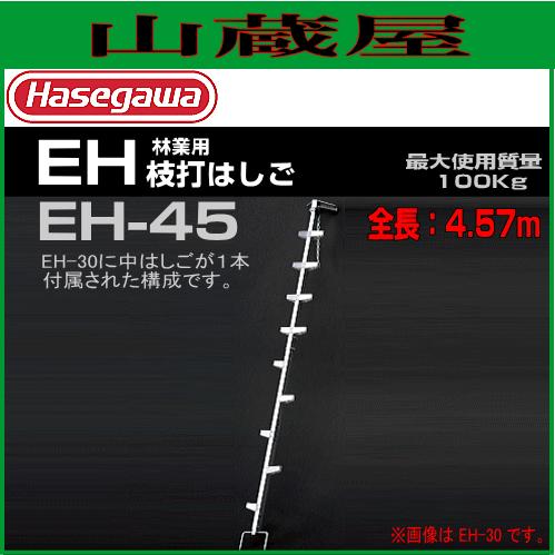 長谷川工業 林業用 枝打ちはしご EH-45 全長 4.57m/有効長 4.42m : 山 