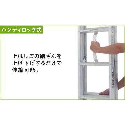 ALINCO（アルインコ） 2連はしご アルミ製2連はしご ハンディロック式