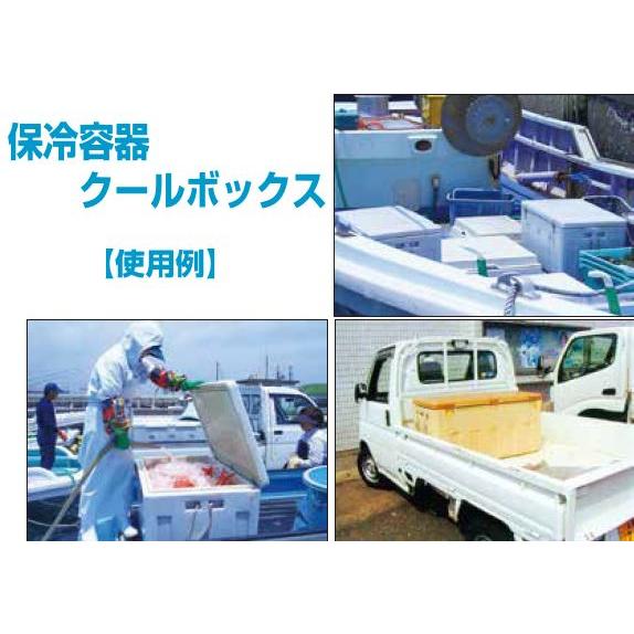 クーラーボックス ダイライト クールボックス 160型 抜群の保冷 クーラーボックス ダイライト クールボックス 160型 抜群の保冷