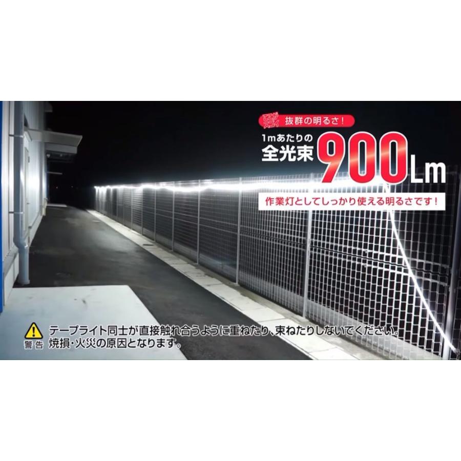HATAYA（ハタヤ） LED照明 LEDテープライト LTP-10S 片面発光タイプ