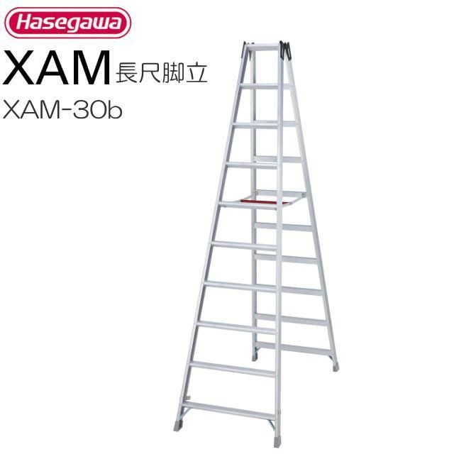 長谷川工業 脚立 長尺脚立 XAM-30b 天板高 2.89m 有効高 2.29m 質量 