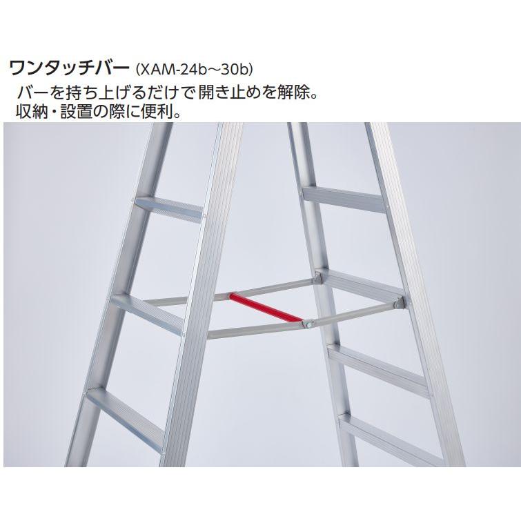 長谷川工業 脚立 長尺脚立 XAM-30b 天板高 2.89m 有効高 2.29m 質量 