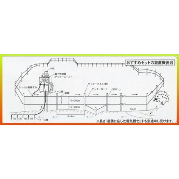特売] 電気柵ガイシ 末松電子製作所 Sガイシ (100個入り) ゲッター