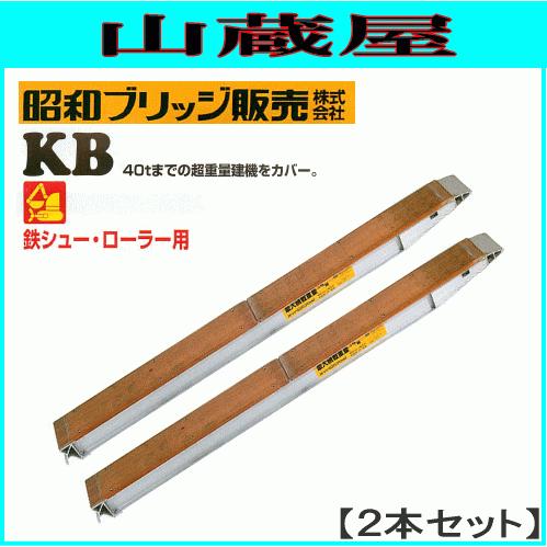 アルミブリッジ 2本セット 7t 3m 昭和ブリッジ KB-300-30-7.0 鉄 アルミブリッジ 2本セット 7t 3m 昭和ブリッジ KB-300-30-7.0 鉄