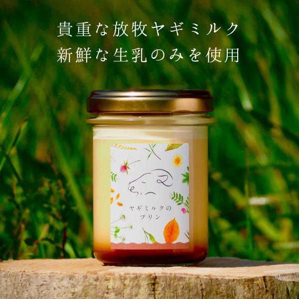 ヤギミルク プリン 6個入り 送料無料 ギフト お取り寄せ 贈り物 内祝い