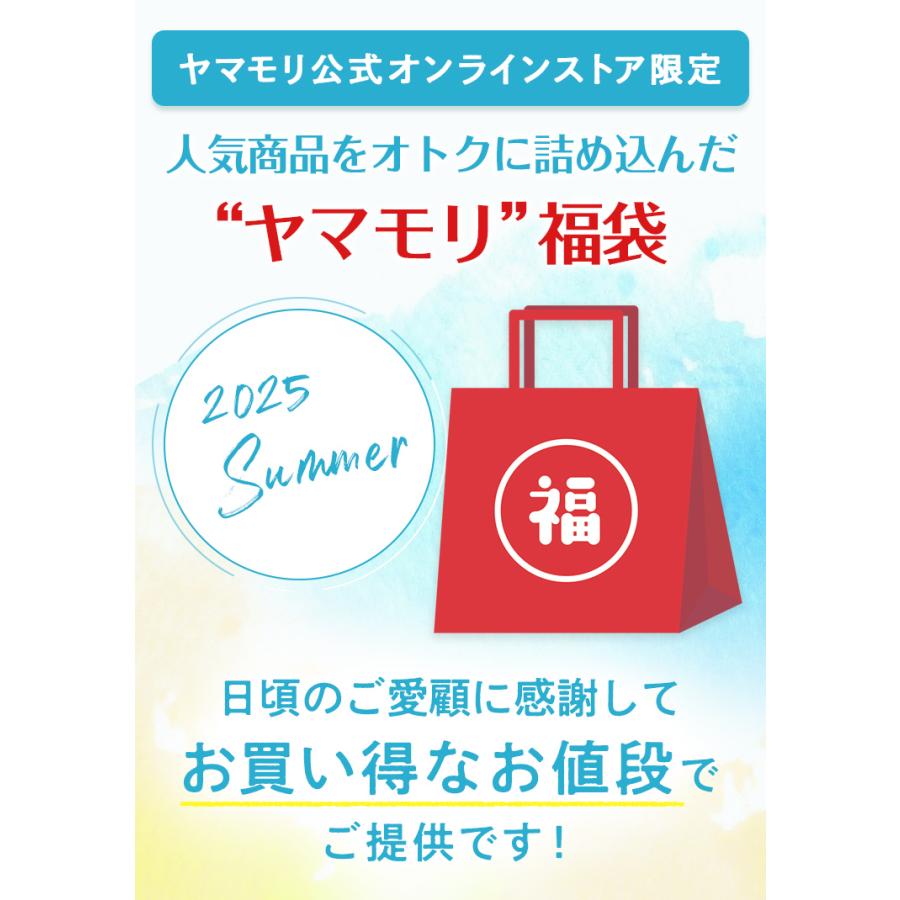 ヤマモリ 夏のやまもり 福袋 レンジで簡単 カレー レトルト ヤマモリ 夏のやまもり 福袋 レンジで簡単 カレー レトルト