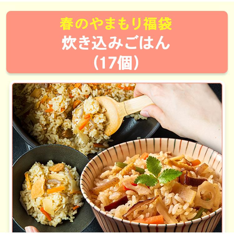 ヤマモリ 春のやまもり 福袋 炊き込みごはん 17個 2026 釜めし 13品