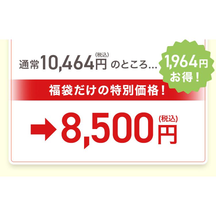 春のやまもり 福袋 GABA 100 睡活 ・ 肌弾ビネガー 12本 リンゴ酢 飲むお酢 ヤマモリ 2026 飲む酢 機能性表示食品 プレゼント 睡眠王 爆買の画像