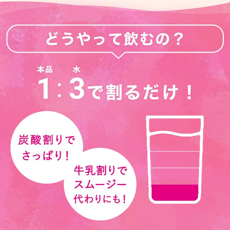 ヤマモリ 冬のやまもり 福袋 GABA 100 睡活 ・ 肌弾ビネガー 12本