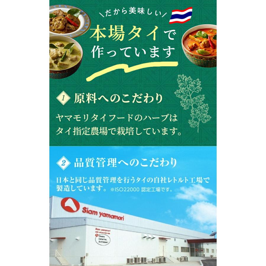 タイカレー と ガパオ 11個セット ヤマモリ レトルトカレー カレー タイ料理 カレーレトルト グリーンカレー レッド マッサマン ガパオ | ヤマモリ | 08
