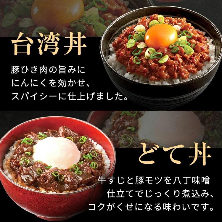 ヤマモリ 防災 非常食 レトルト食品 詰め合わせ 丼 名古屋丼5種X2品