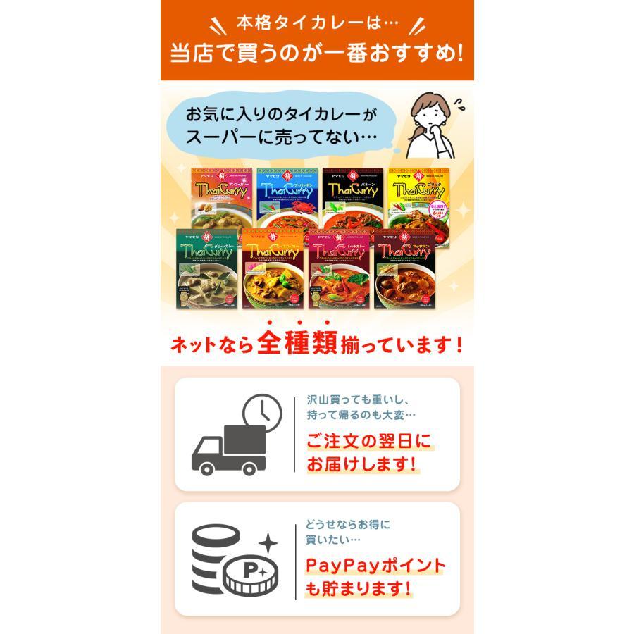 ギフト 食品 カレー レトルトカレー レトルト食品 お取り寄せグルメ ヤマモリ タイカレーとガパオ 12個セット 送料無料 タイ料理 辛口 中辛 3000円 父の日　｜yamamori-ya｜14