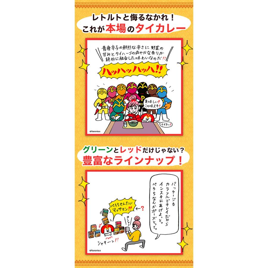 カレー レトルトカレー レトルト食品 お取り寄せグルメ レトルト食品 タイカレー ヤマモリ メール便 送料込み グリーンＸレッド 2個 同梱不可タイ料理 1000円｜yamamori-ya｜08