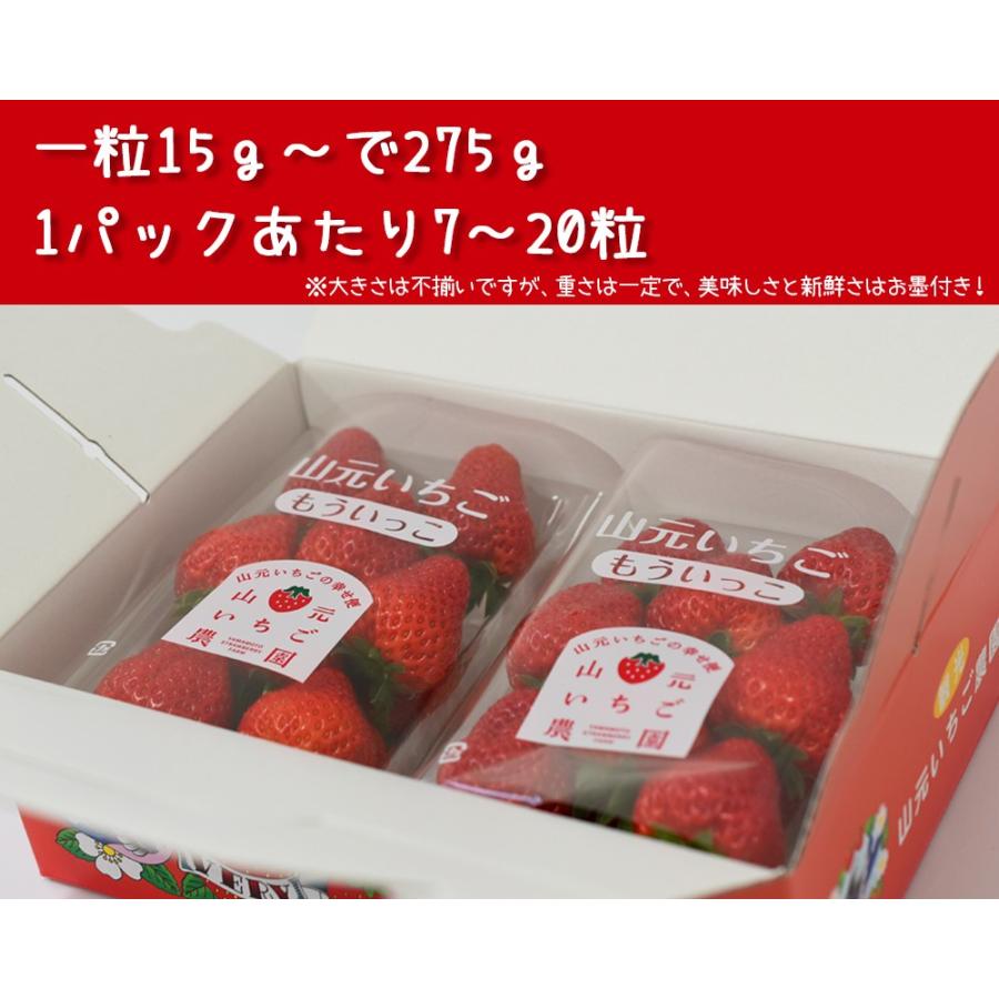 いちご 山元いちご農園 とちおとめ 2パック Y やまもといちご 通販 Yahoo ショッピング