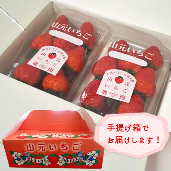いちご 完熟 宮城 山元いちご農園 もういっこ 250g×2パック いちご 完熟 宮城 山元いちご農園 もういっこ 250g×2パック