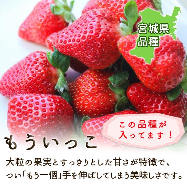 いちご 完熟 宮城 山元いちご農園 もういっこ 250g×4パック いちご 完熟 宮城 山元いちご農園 もういっこ 250g×4パック