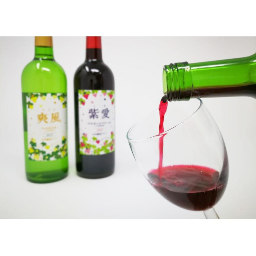 ワイン 赤ワイン マスカットベリーA 紫愛 しあ 720ml｜yamamoto-ichigo15｜04