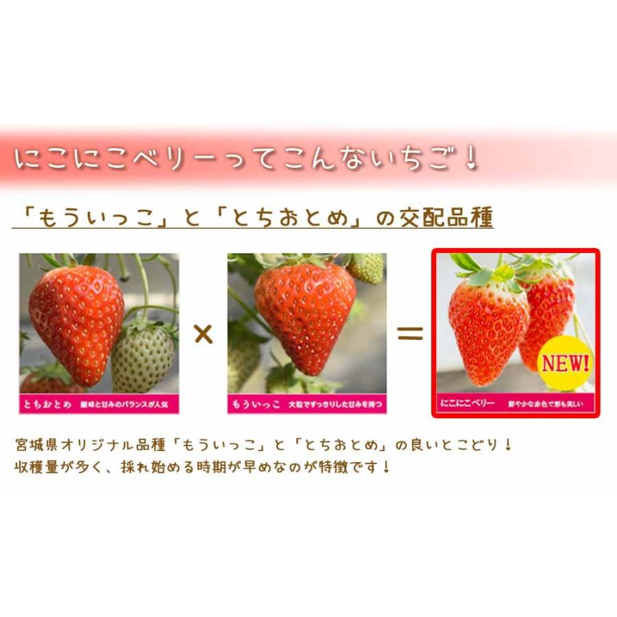 いちご 山元いちご農園 ２品種食べ比べセット 4パック Y やまもといちご 通販 Yahoo ショッピング