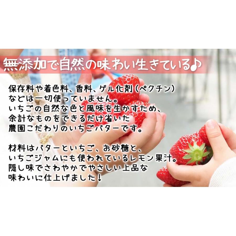 山元いちご農園 いちごバター 無添加｜yamamoto-ichigo15｜06