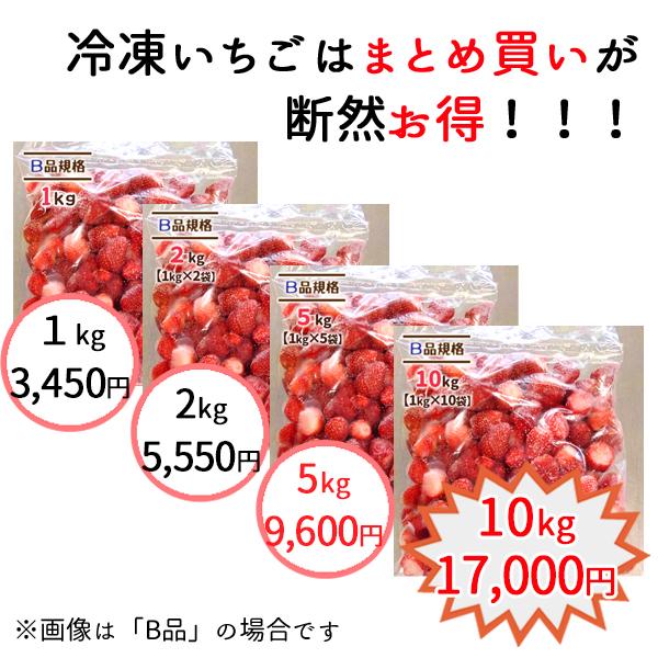 冷凍いちご 国産 いちご 単品種 B品 10kg 完熟 宮城県 無添加 業務用