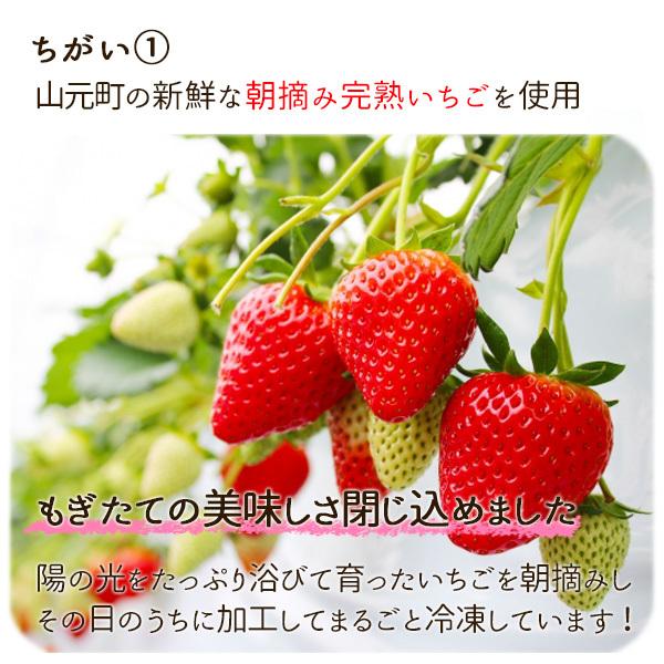 いちご 冷凍いちご 10kg B品 1kg×10袋 品種大きさ色々 完熟 国産 いちご 冷凍いちご 10kg B品 1kg×10袋 品種大きさ色々 完熟 国産