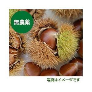 無農薬 山口県厚保栗 Lサイズ 1kg : 山本商店ヤフー店 - 通販 - Yahoo
